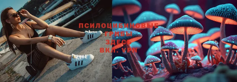 Галлюциногенные грибы MAGIC MUSHROOMS  купить   Барабинск 